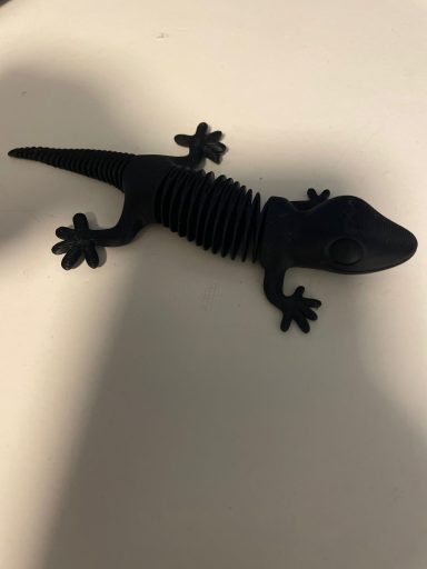 lagartija 